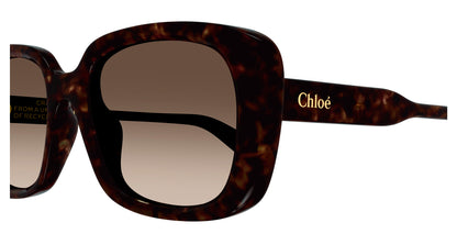 Chloe CH0225SK