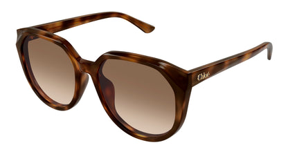 Chloe CH0291SK